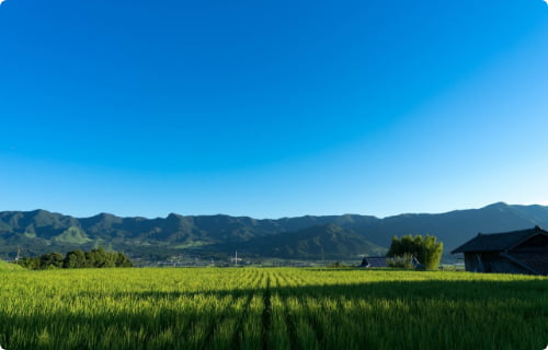 広がる南阿蘇の自然